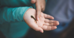 Emotional intelligence in education