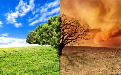Split – Education for Global Citizenship: Raising Climate Change Awareness and Taking Sustainable Actions