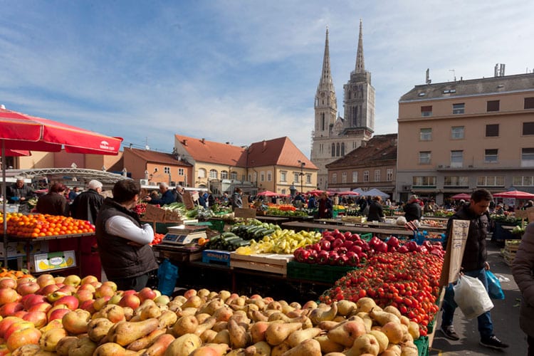 Exploring the vibrant Dolac Market in Zagreb – Erasmus+ Teacher Training Courses Zagreb